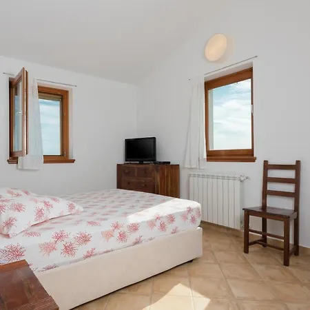 Vicani Villa: Spacious With Pool Apartman Ripenda Kras