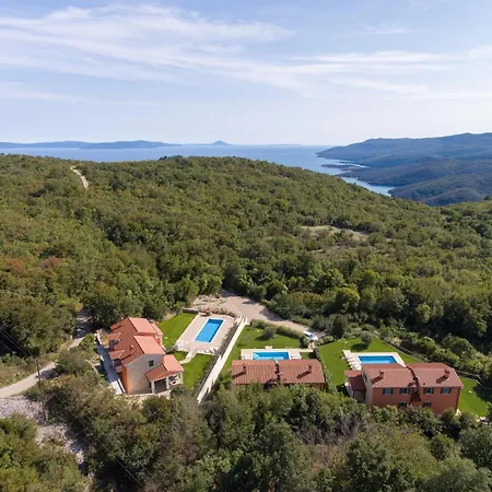 Vicani Villa: Spacious With Pool Apartman